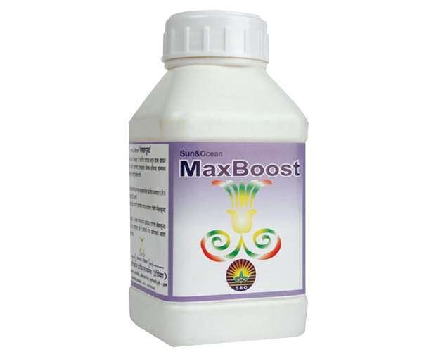 maxboost