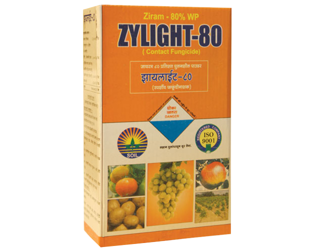 zylight